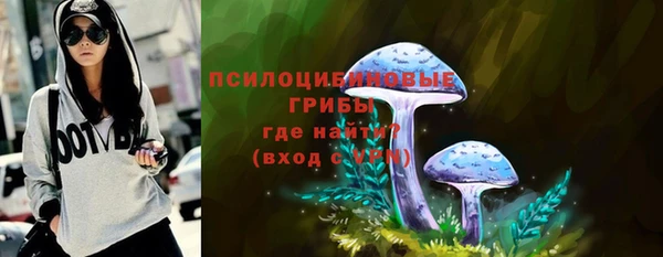 ешки Богданович