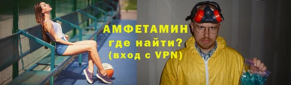 гидра Богородск