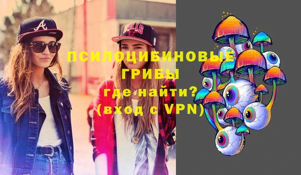 ешки Богданович