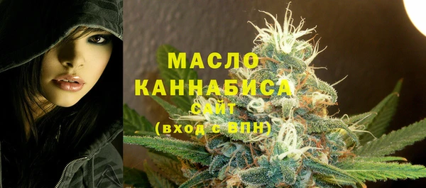 гидра Богородск