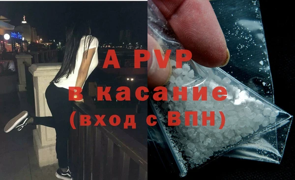 гидра Богородск