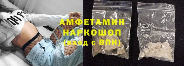 гидра Богородск