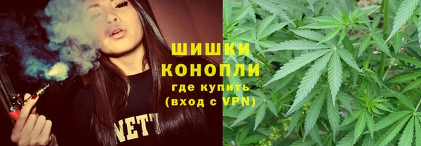 гидра Богородск
