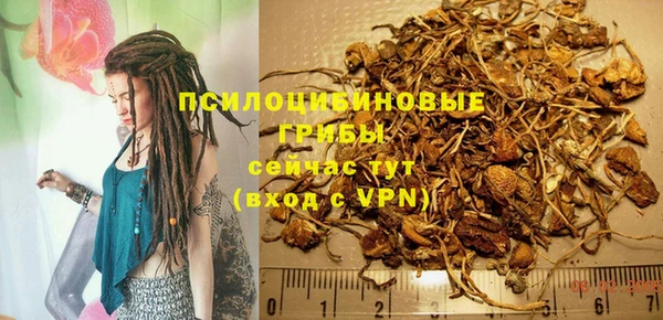 ешки Богданович