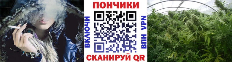 Каннабис план  купить  сайты  Каспийск 
